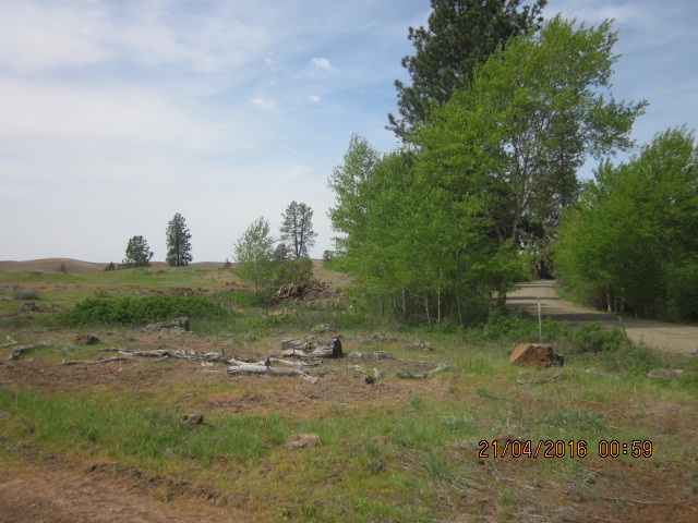 19706 South Harrison Road Edwall, WA 99008 - Photo 3 of 9