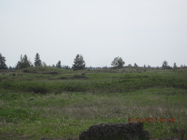 19706 South Harrison Road Edwall, WA 99008 - Photo 4 of 9