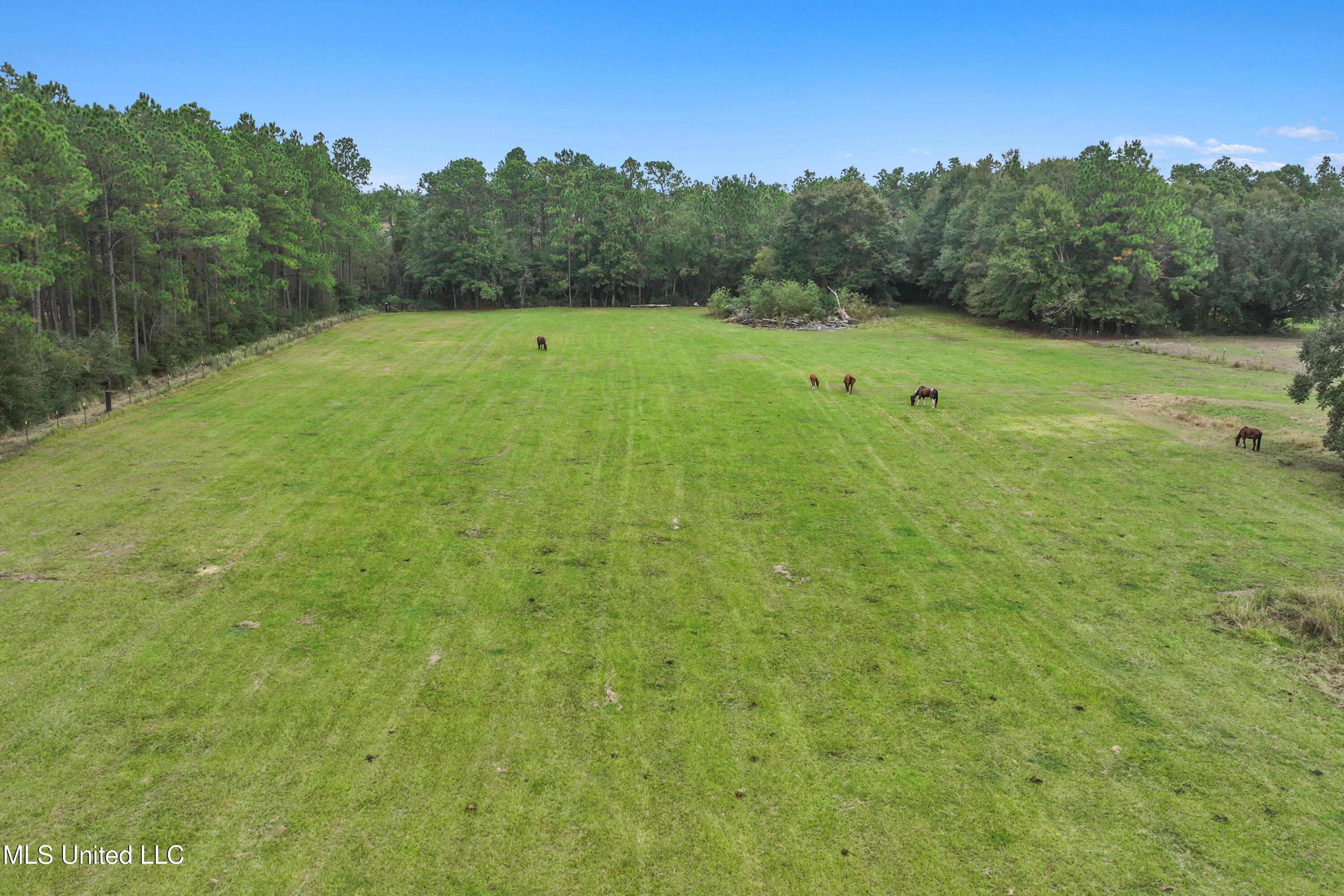 9021 Hollow Brook Road Moss Point, MS 39562 - Photo 41 of 47 041