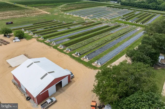 a view of a tennis court