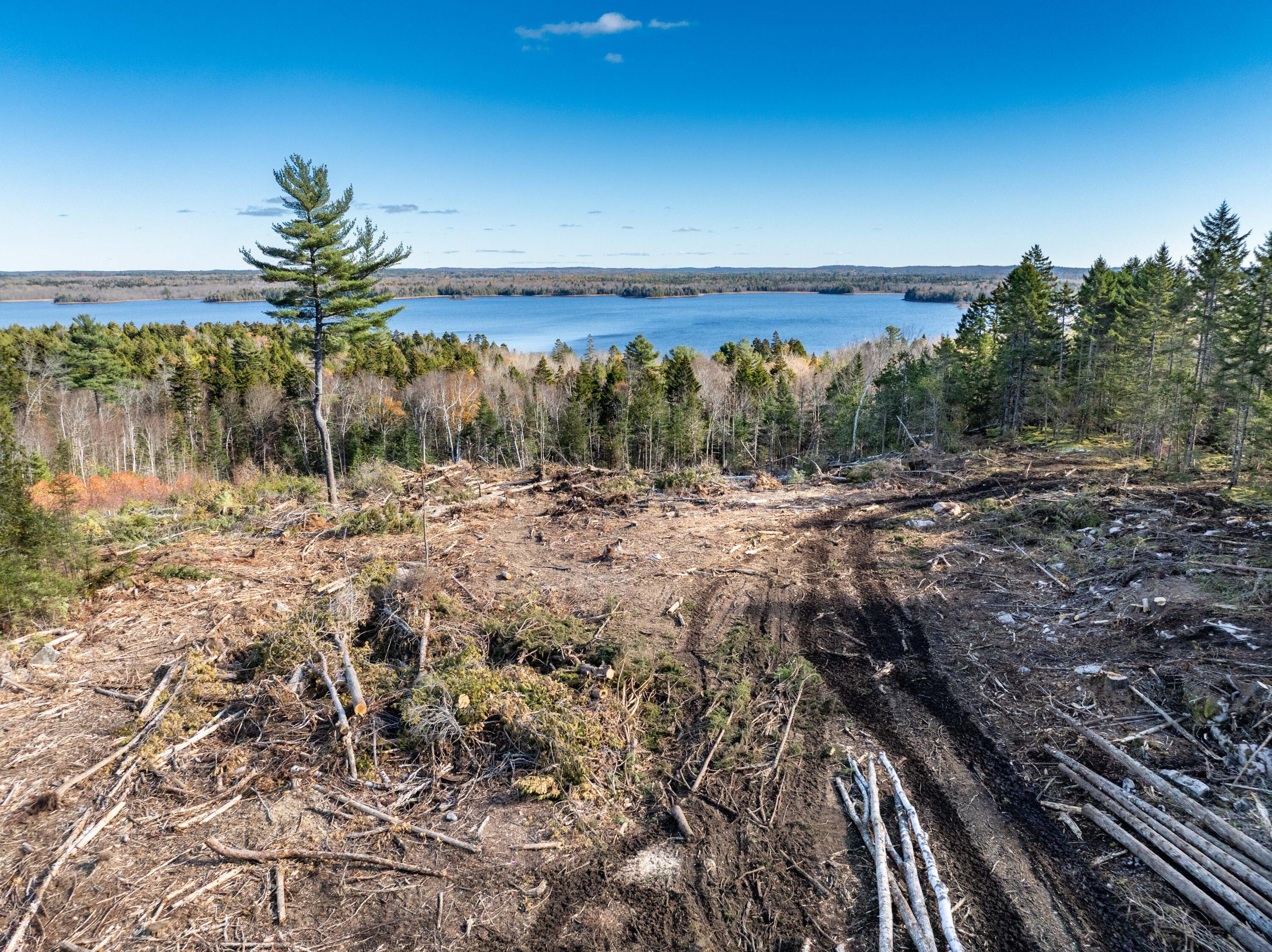 177 Means Cottage Road East Machias, ME 04630 - Photo 28 of 49