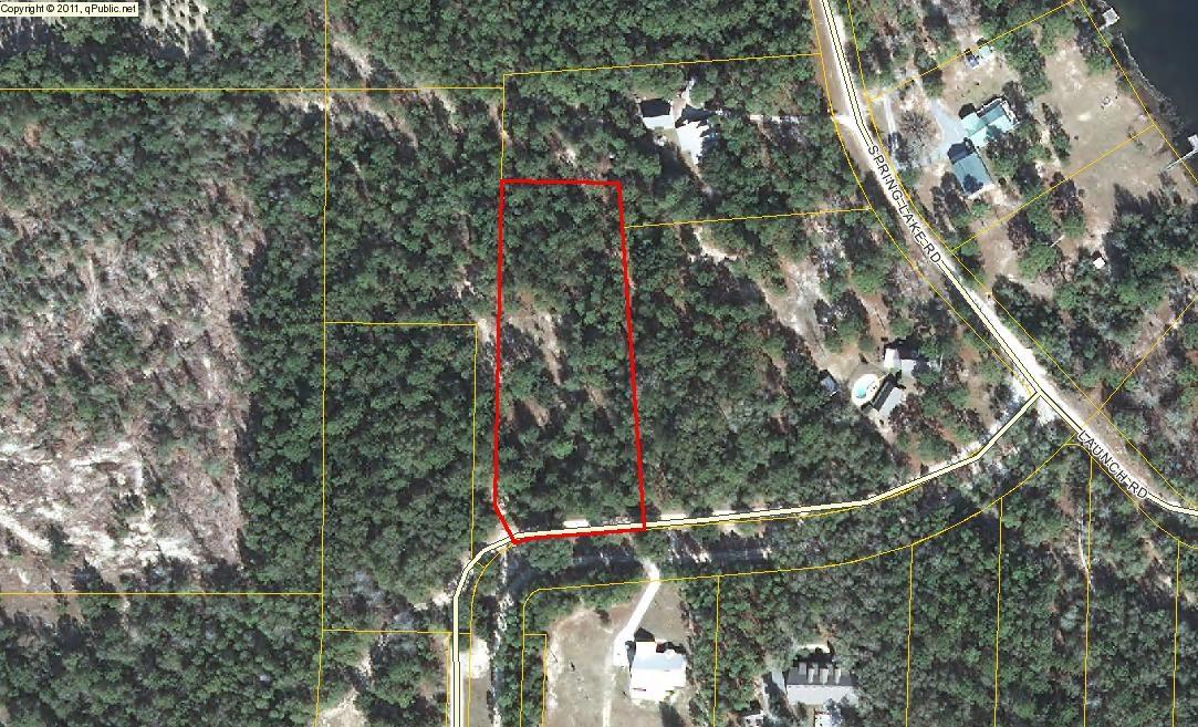 Lot 49 Spring Lake Road DeFuniak Springs, FL 32433 - Photo 2 of 8 a view of a tree with a yard