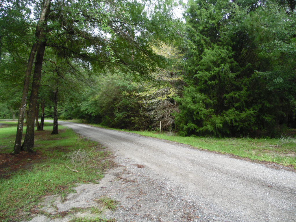 Lot 49 Spring Lake Road DeFuniak Springs, FL 32433 - Photo 3 of 8 a view of a yard with a trees