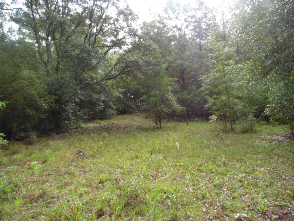 Lot 49 Spring Lake Road DeFuniak Springs, FL 32433 - Photo 4 of 8 a view of a yard