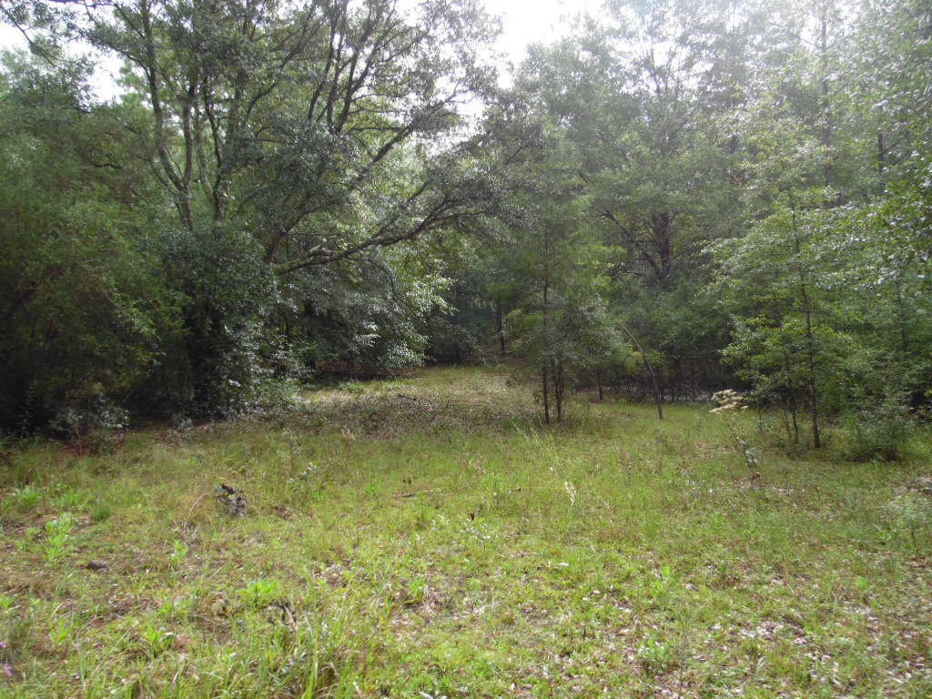Lot 49 Spring Lake Road DeFuniak Springs, FL 32433 - Photo 6 of 8 a view of outdoor space and yard