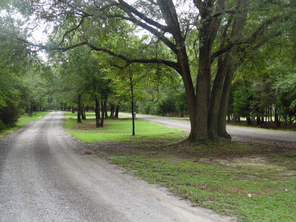 Lot 49 Spring Lake Road DeFuniak Springs, FL 32433 - Photo 7 of 8 a view of a park with tree s