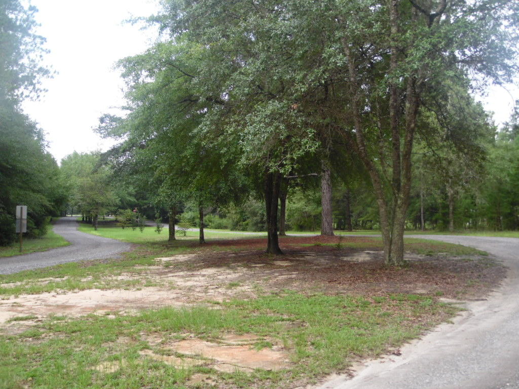 Lot 49 Spring Lake Road DeFuniak Springs, FL 32433 - Photo 8 of 8 a view of a park with trees in the background