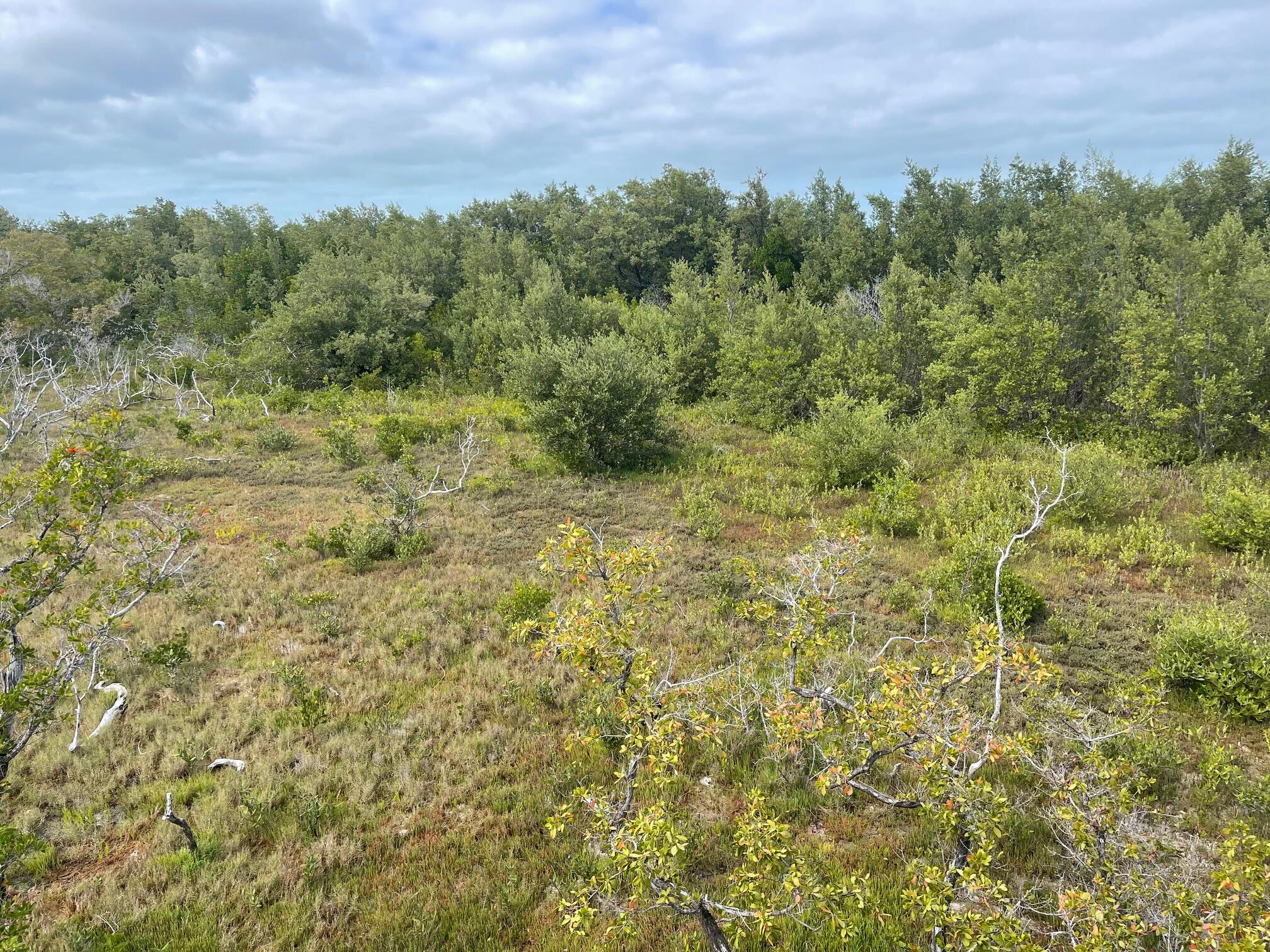 3127 Stewart Road Summerland Key, FL 33042 - Photo 59 of 64 1.65 Acres!