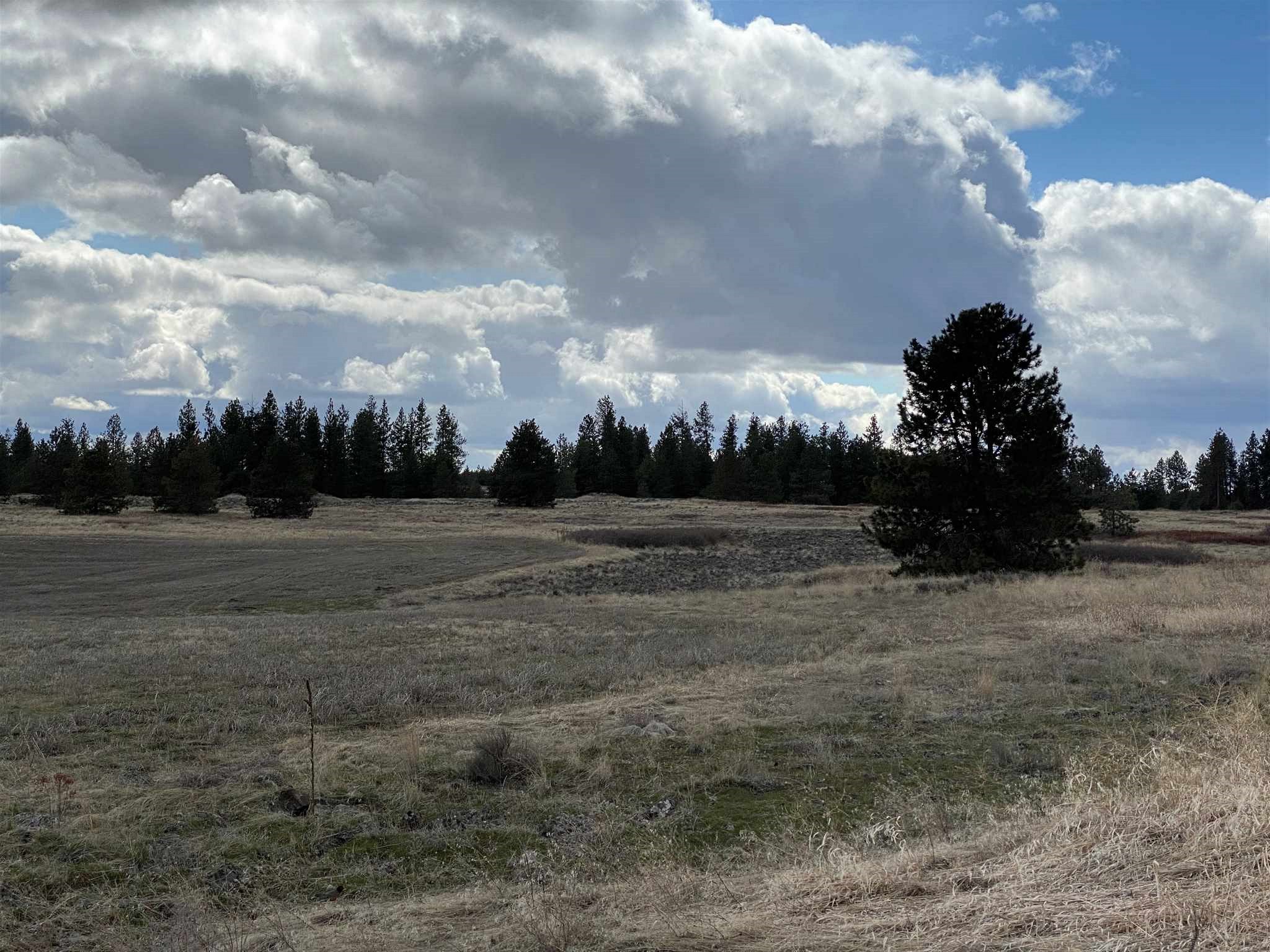 14623 West Craig Road Spokane, WA 99224 - Photo 4 of 5
