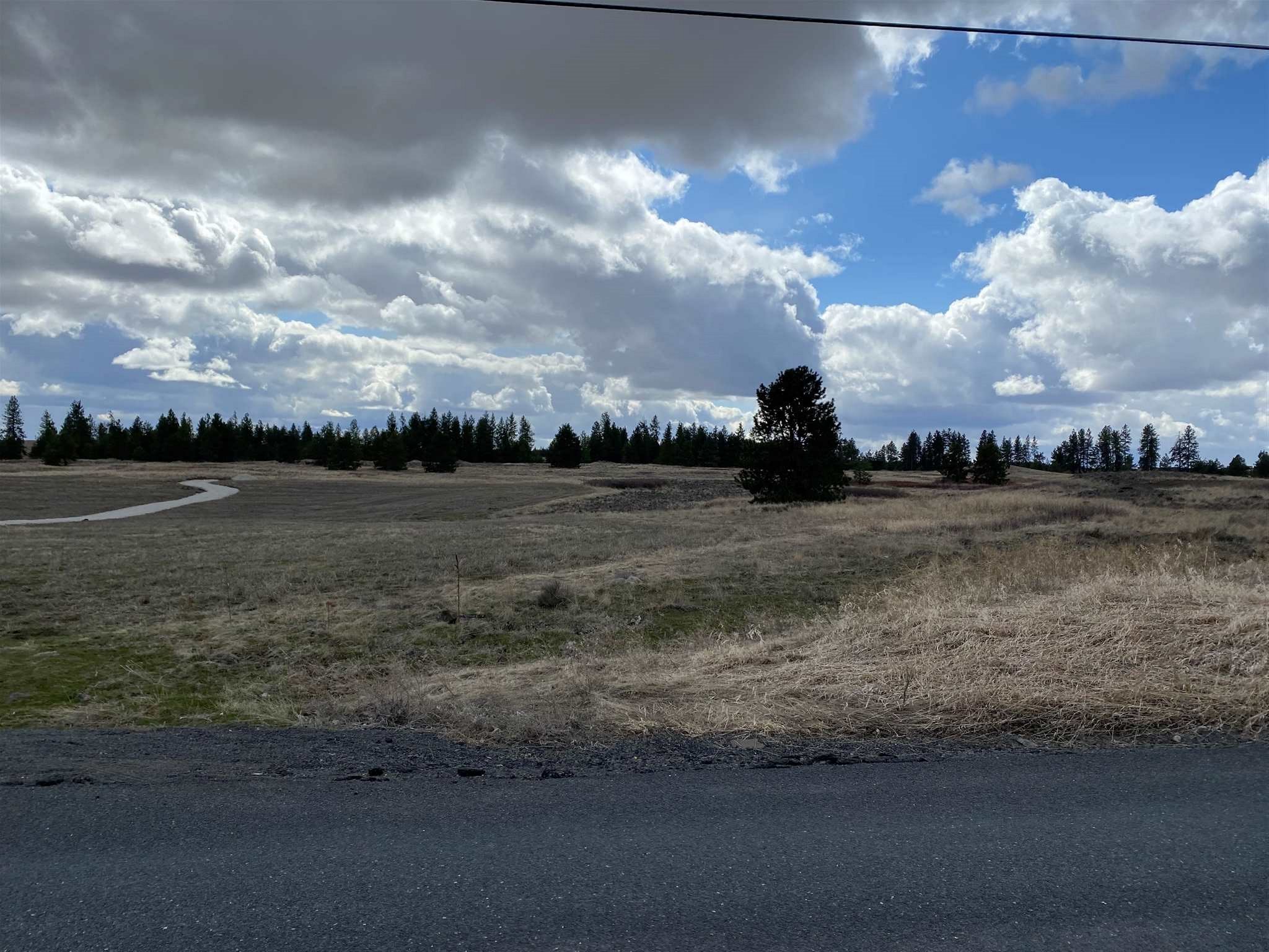 14623 West Craig Road Spokane, WA 99224 - Photo 5 of 5