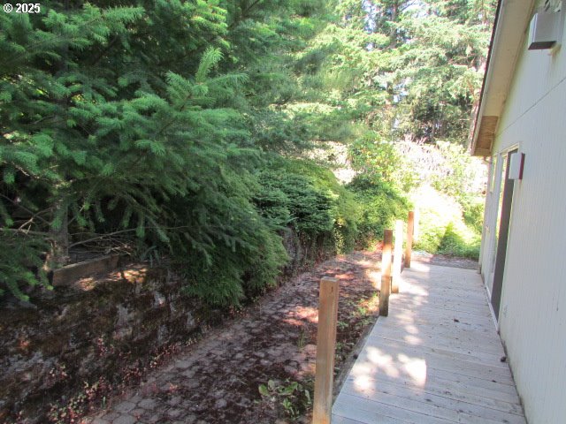 10285 South Rosewood Way Molalla, OR 97038 - Photo 4 of 39 a view of a yard with plants and large trees