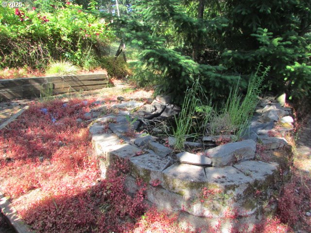 10285 South Rosewood Way Molalla, OR 97038 - Photo 6 of 39 a view of yard with green space