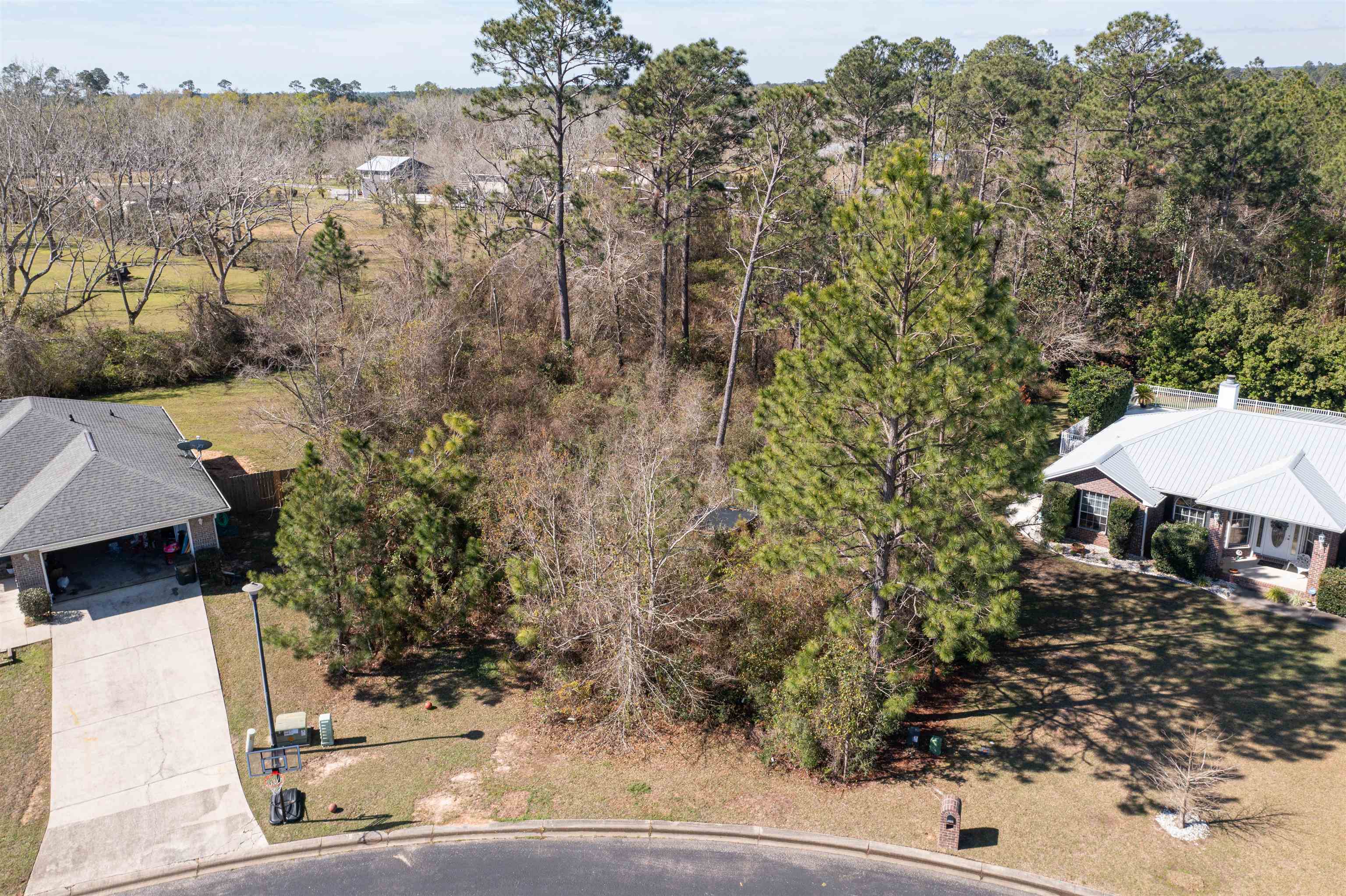 0 Arbor Ridge Circle Lillian, AL 36549 - Photo 1 of 5