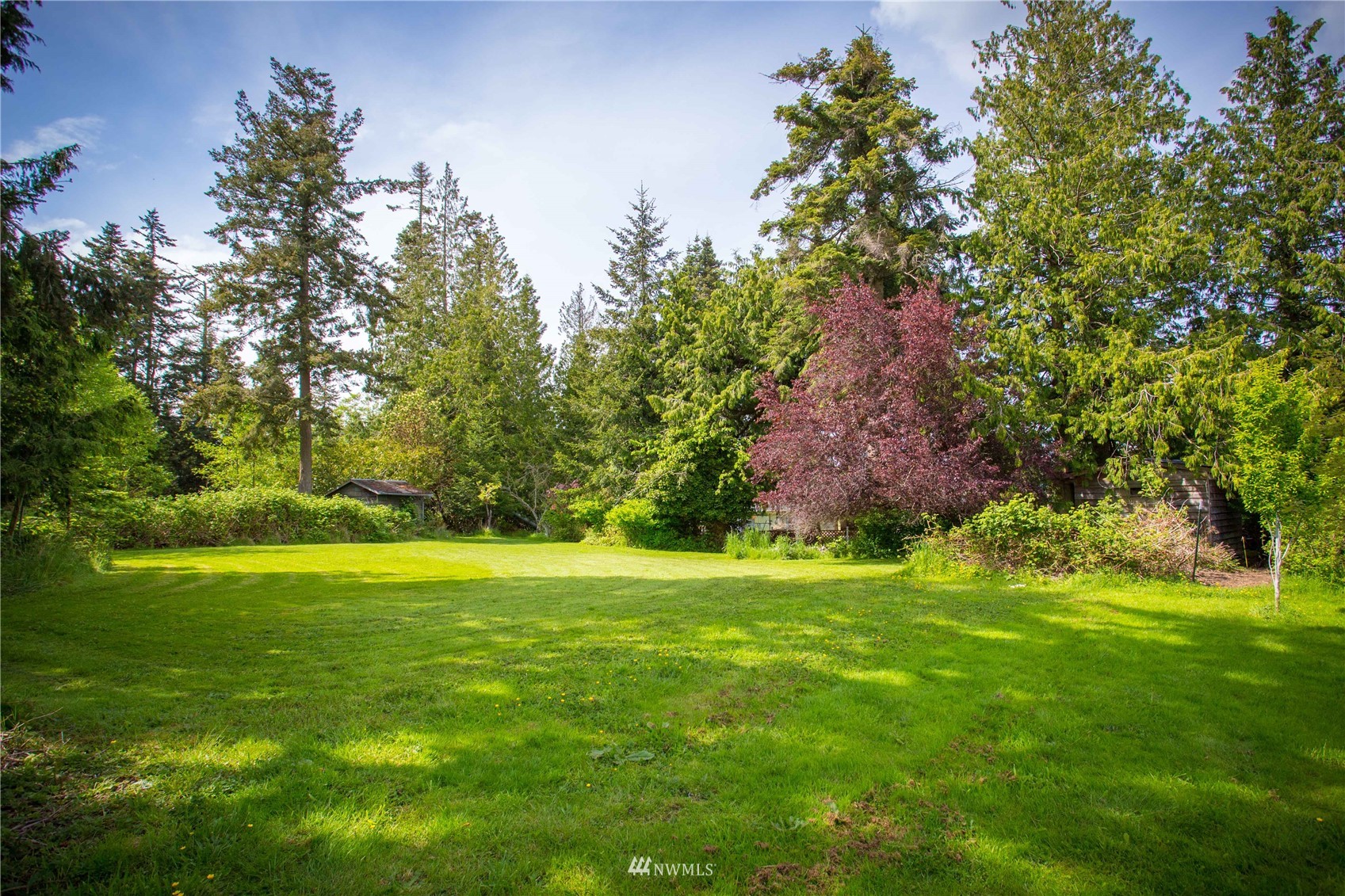 10934 Halloran Road Bow, WA 98232 - Photo 5 of 25 Gallery Image 5