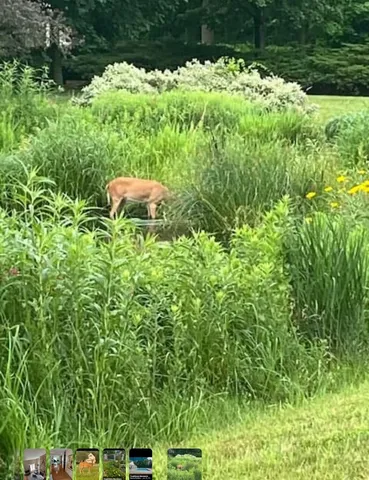 $389,000 | 301 West Eagle Court, Waukegan, IL 60087