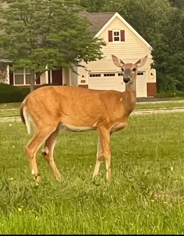 $389,000 | 301 West Eagle Court, Waukegan, IL 60087