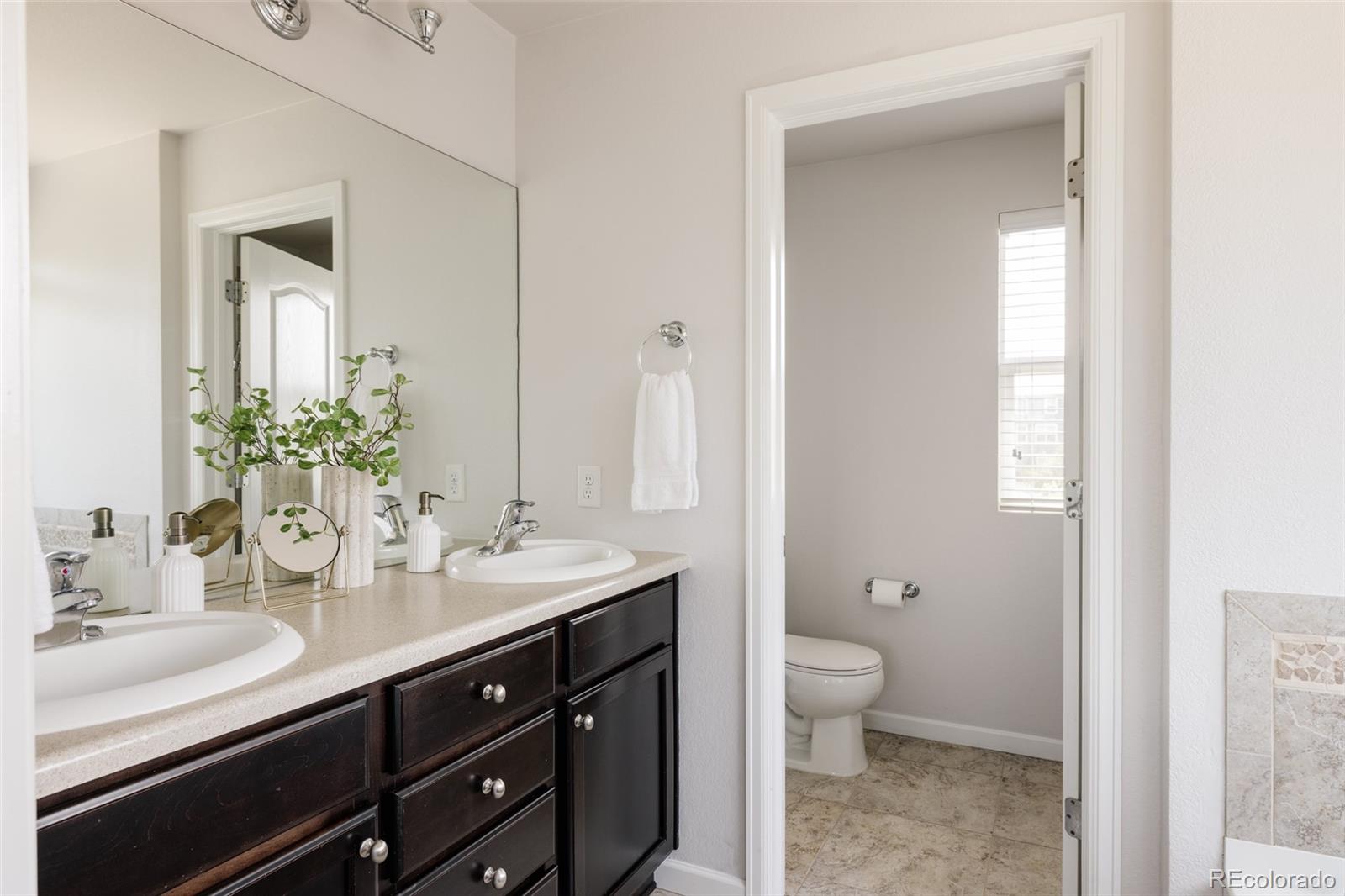 2899 Trinity Loop Broomfield, CO 80023 - Photo 17 of 33 a bathroom with a sink a toilet and a mirror