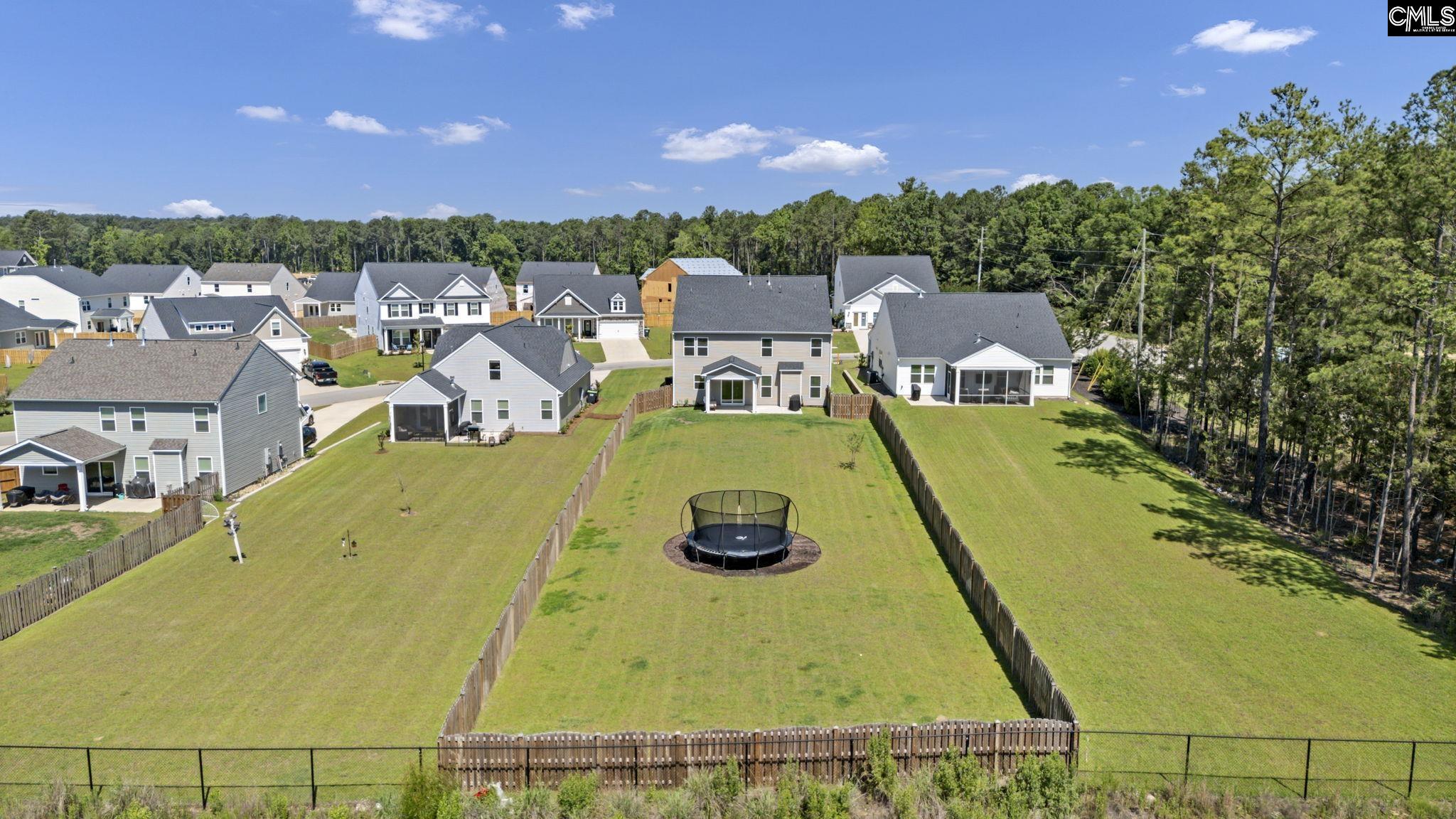 209 Chapin Pl Way Chapin, SC 29036 - Photo 50 of 53