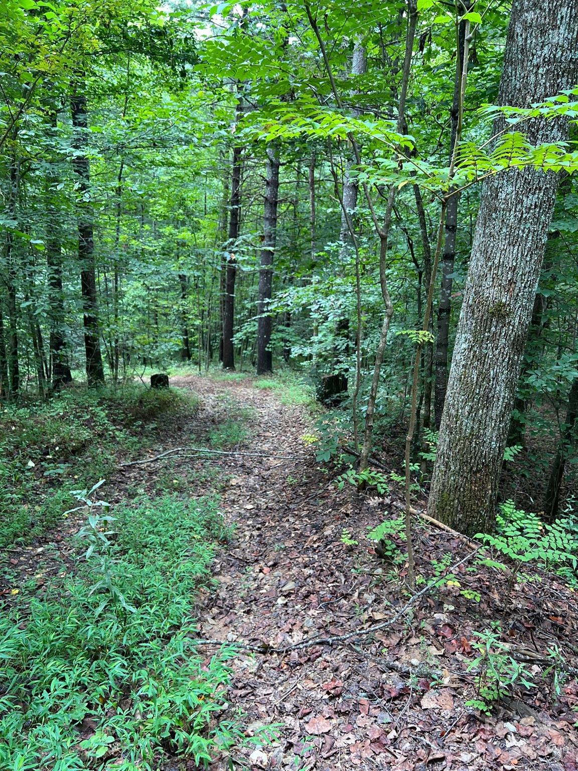 645 Tunnel Road, Unit 157 & 158 Marion, NC 28752 - Photo 1 of 5