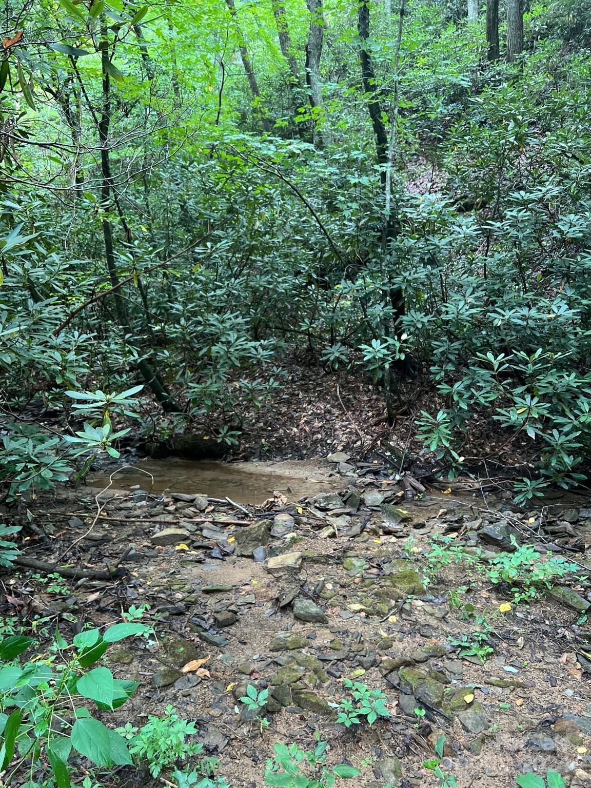 645 Tunnel Road, Unit 157 & 158 Marion, NC 28752 - Photo 3 of 5