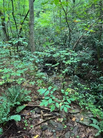 $45,000 | 645 Tunnel Road, Unit 157 & 158, Marion, NC 28752