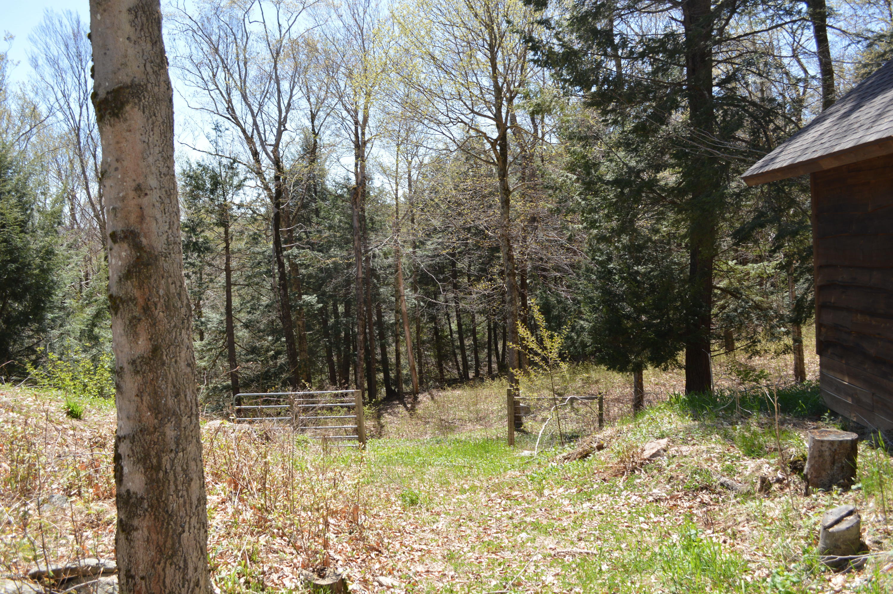 2034 West Center Road Otis, MA 01253 - Photo 39 of 50 a view of a yard with large trees