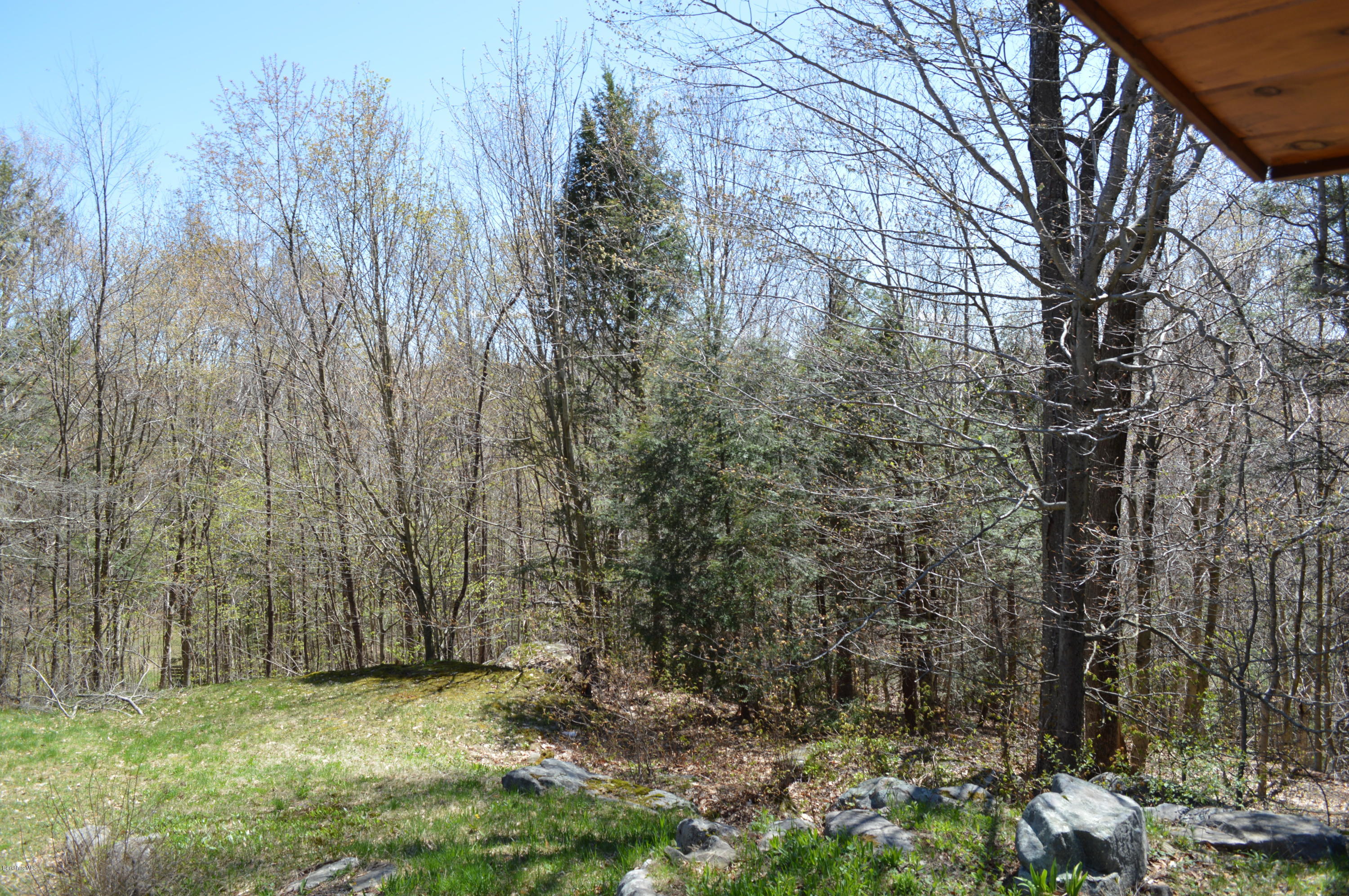 2034 West Center Road Otis, MA 01253 - Photo 41 of 50 a view of backyard with green space