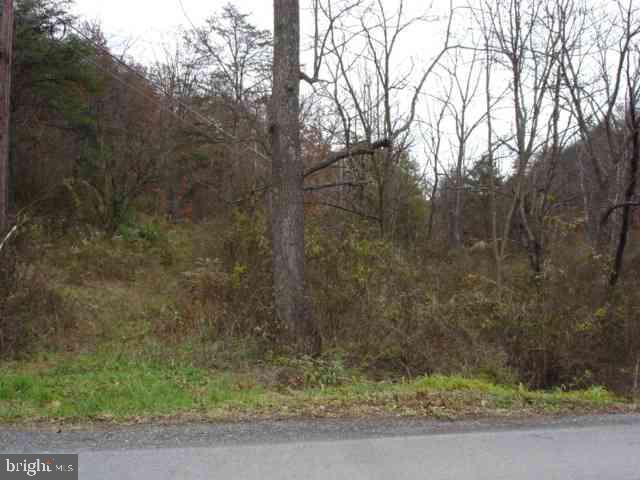 4071 Buckwheat Road Millerstown, PA 17062 - Photo 1 of 3 Gallery Image 1