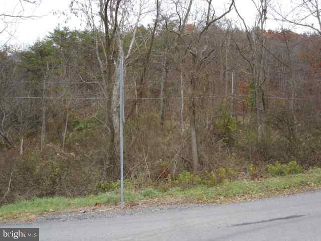 4071 Buckwheat Road Millerstown, PA 17062 - Photo 3 of 3 Gallery Image 3