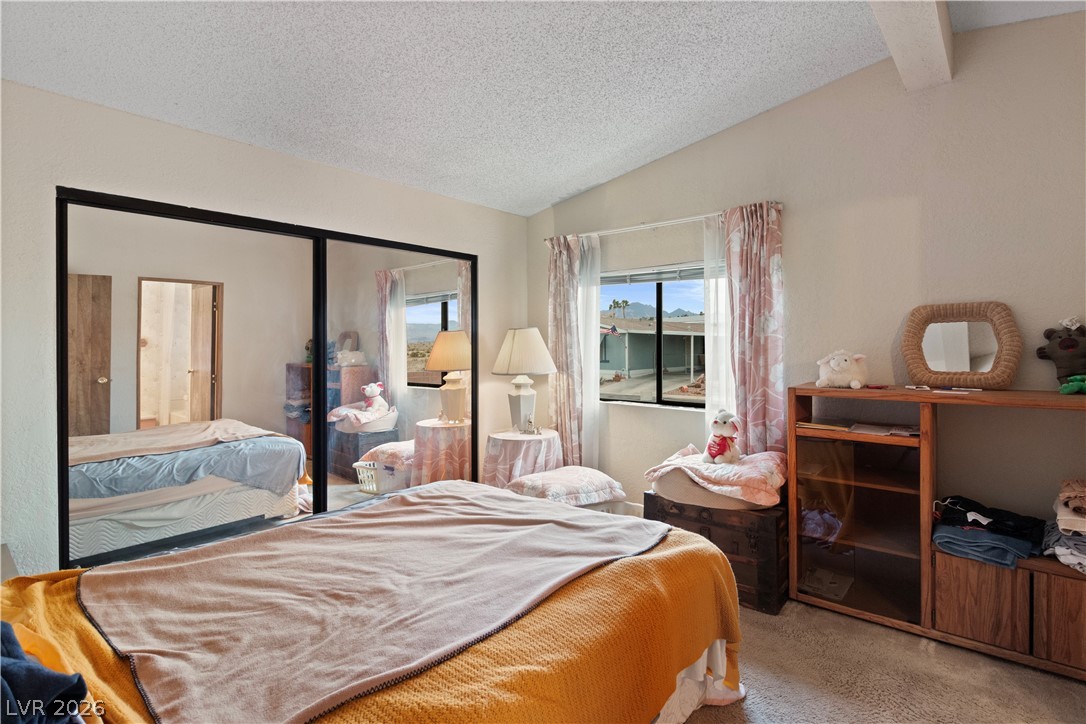 1609 Cajon Court Laughlin, NV 89029 - Photo 15 of 69 Primary Bedroom featuring light carpet and a closet