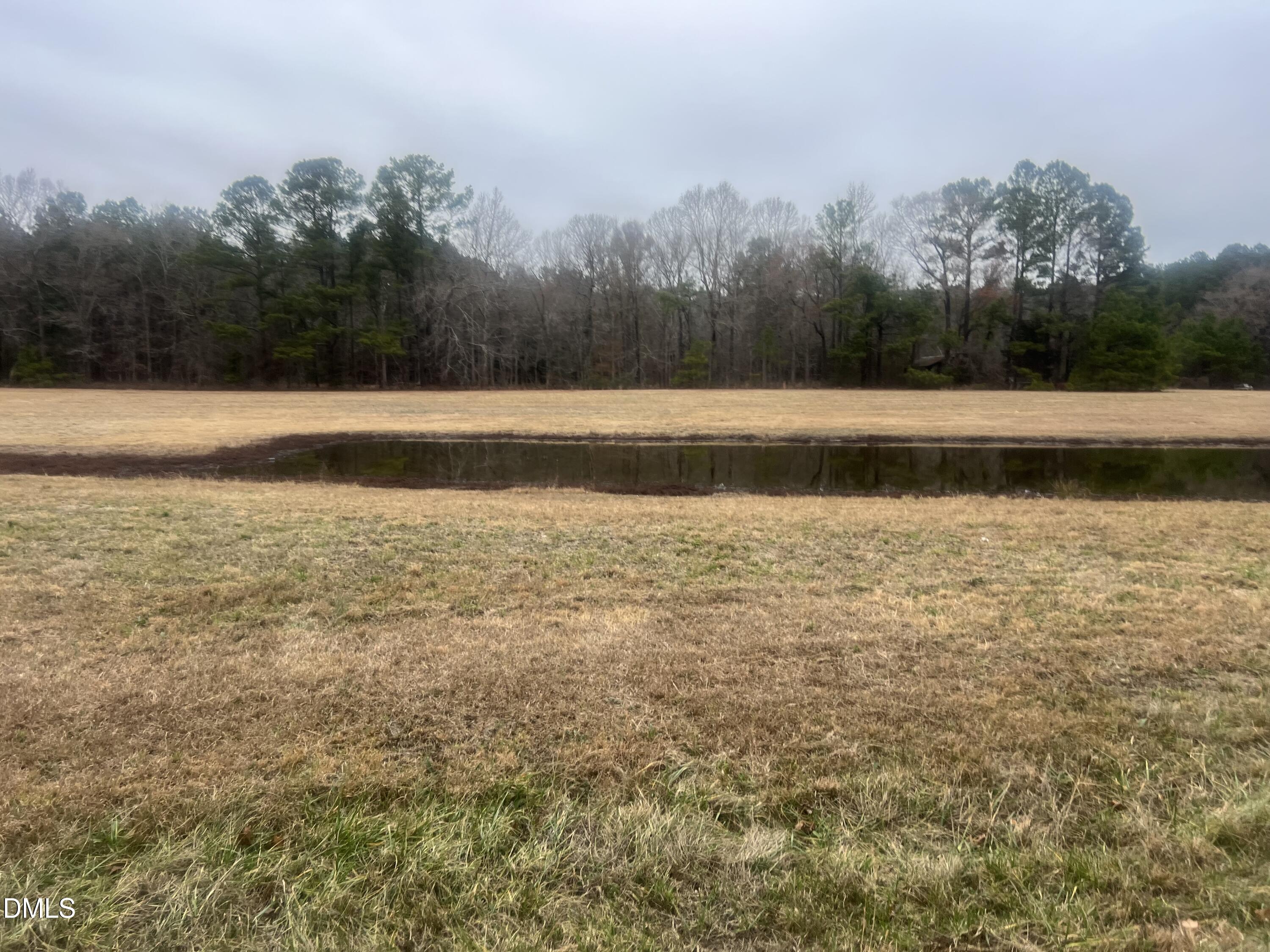 474 Indian Camp Road Smithfield, NC 27577 - Photo 7 of 9