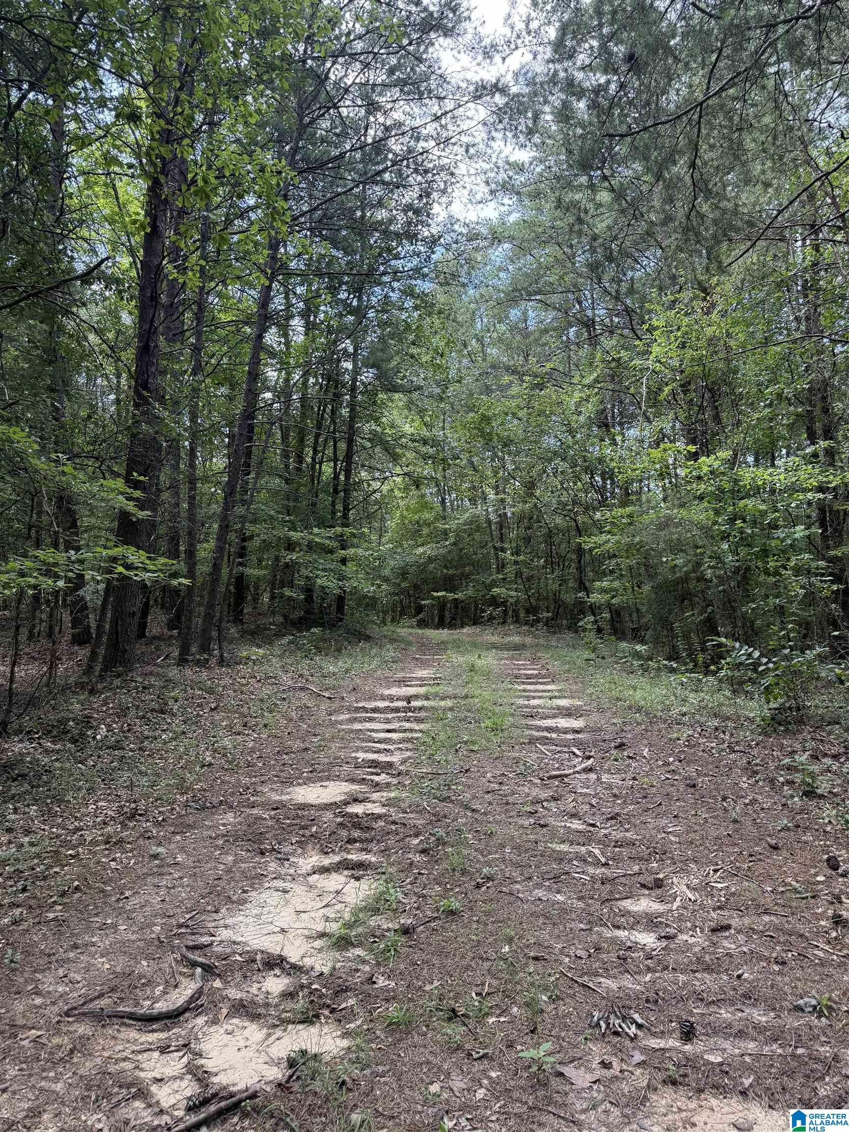 2 County Road 2, Unit 50 / ACRES Double Springs, AL 35553 - Photo 26 of 79