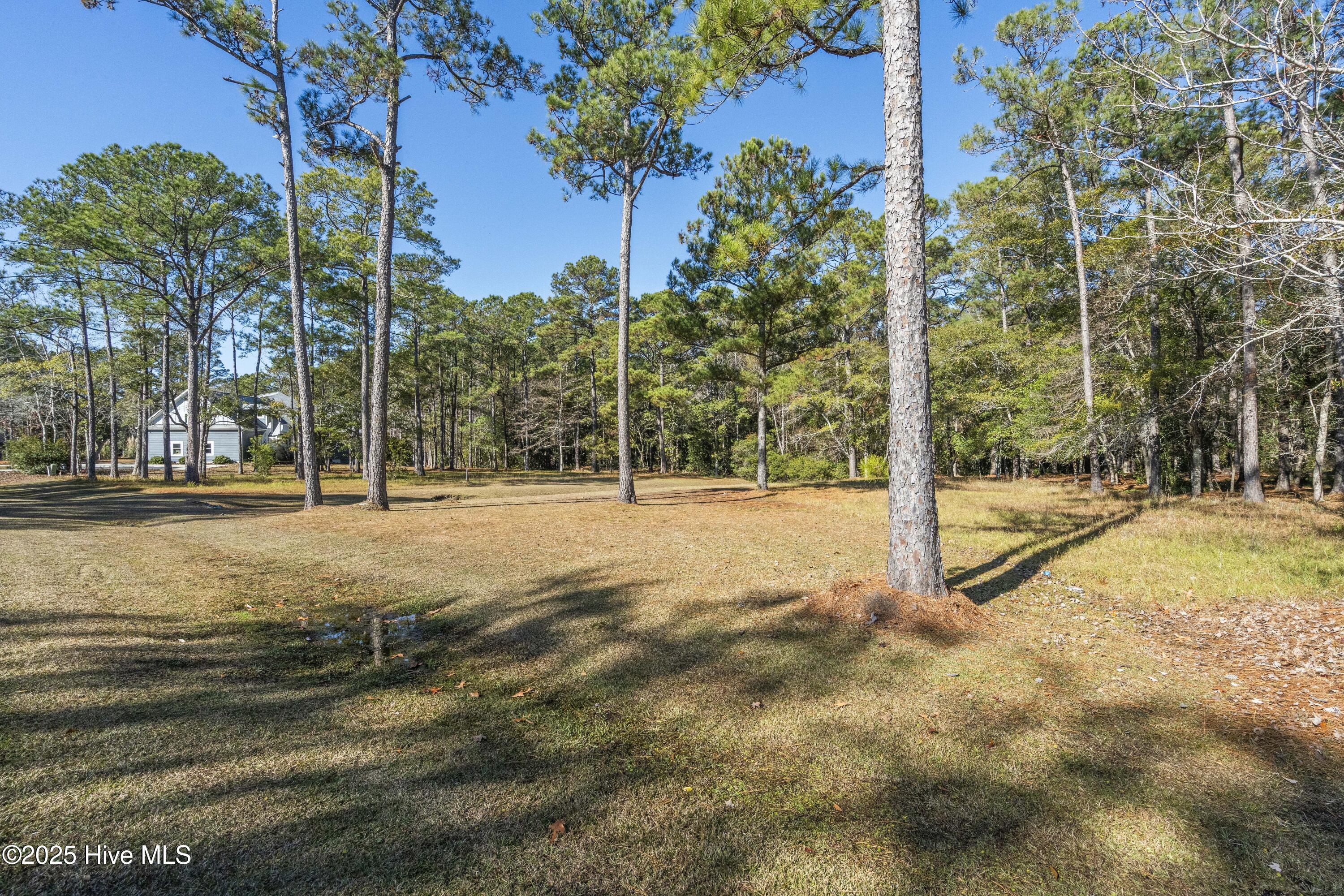342 Genoe's Point Road Southwest Supply, NC 28462 - Photo 14 of 38 DSC01545