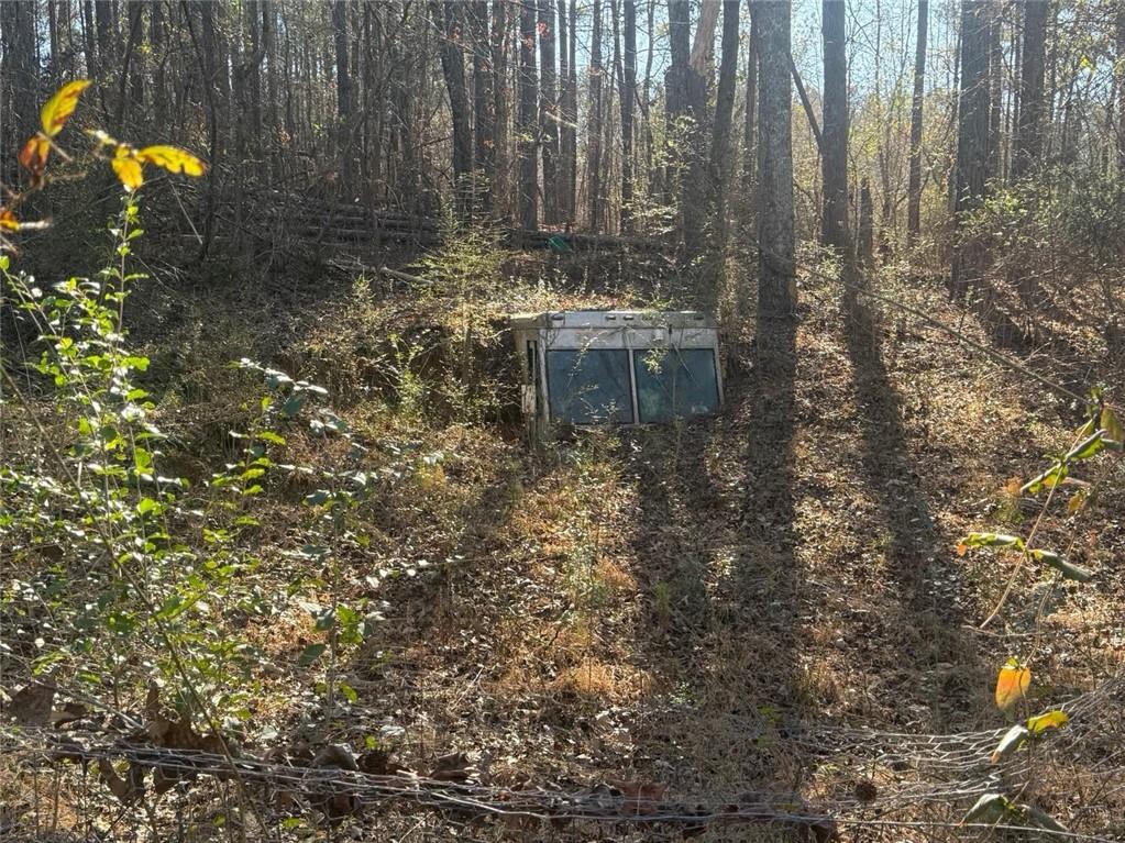 95 Shiloh Church Road Carrollton, GA 30116 - Photo 22 of 22