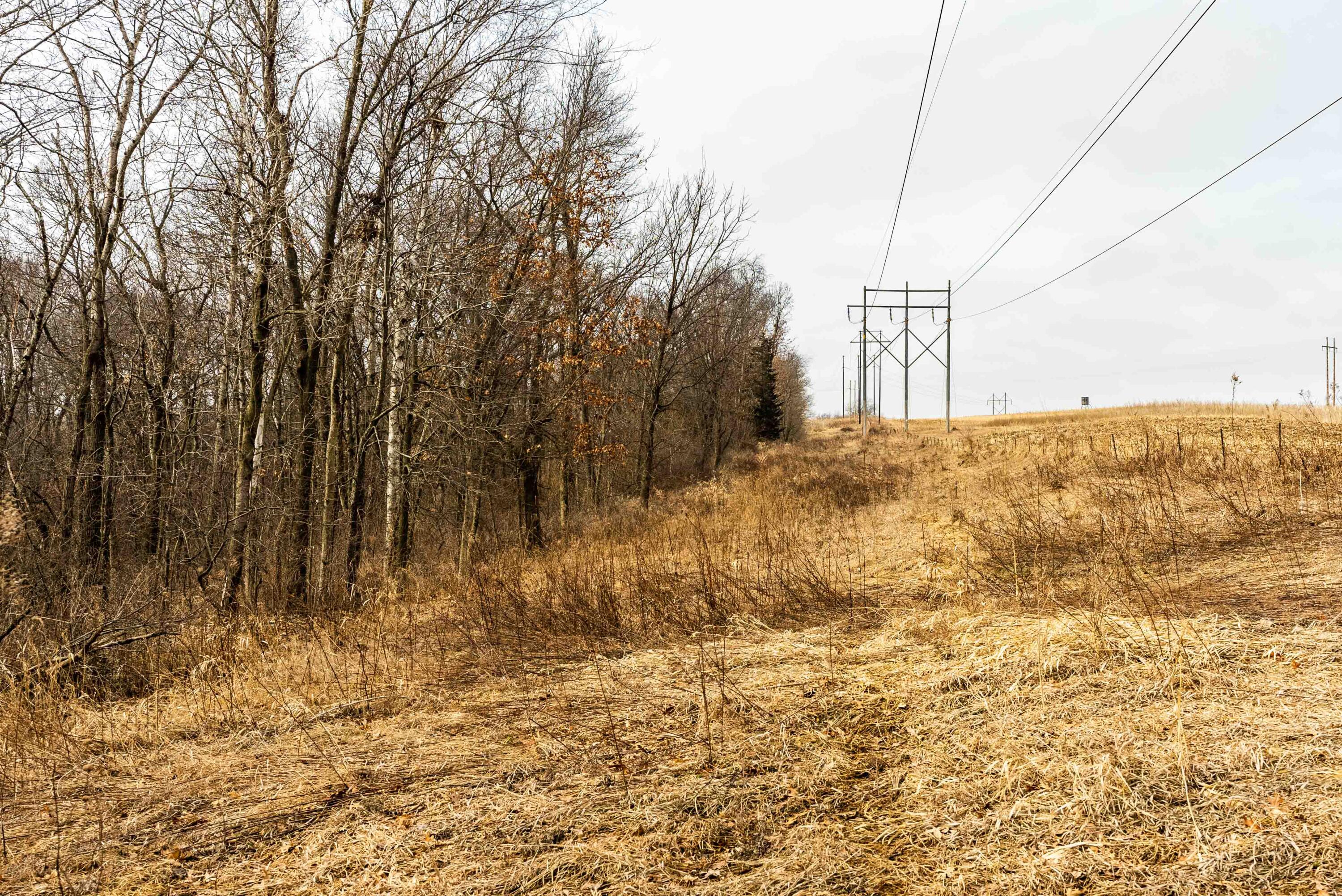Lt1 St Charles Road Cassville, WI 53806 - Photo 11 of 15 Grant-County-WI-19-Acres-Land-For-Sale-1