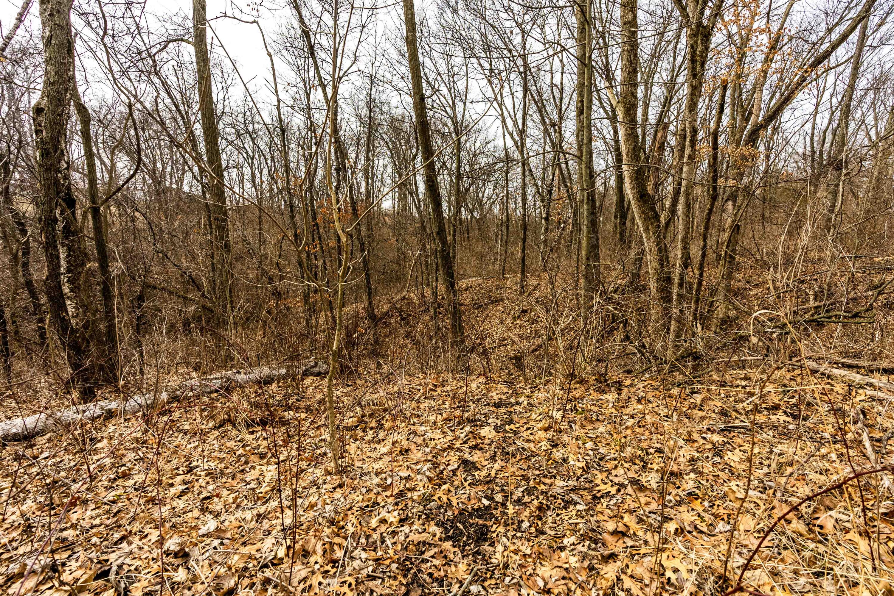 Lt1 St Charles Road Cassville, WI 53806 - Photo 13 of 15 Grant-County-WI-19-Acres-Land-For-Sale-1
