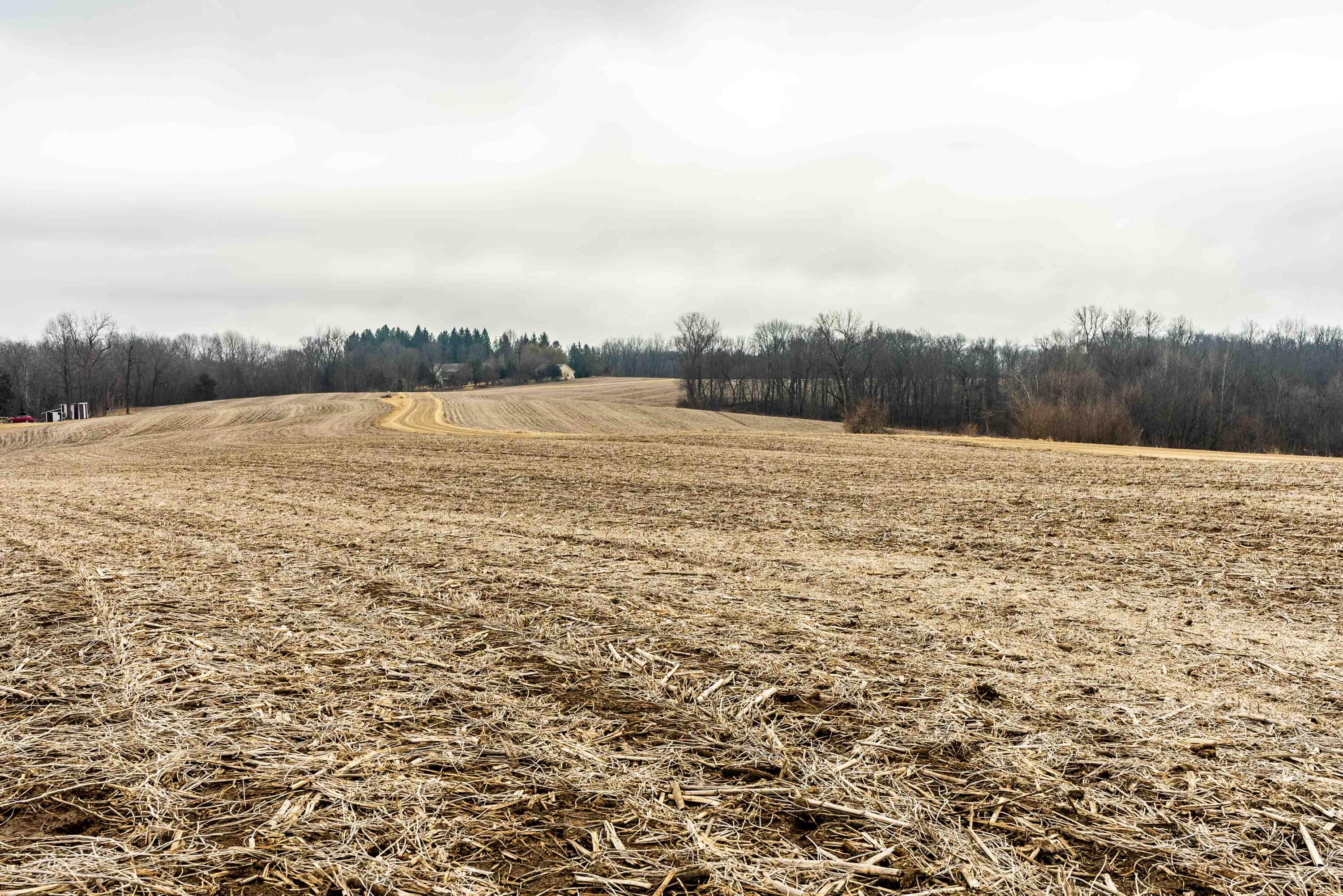 Lt1 St Charles Road Cassville, WI 53806 - Photo 4 of 15 Grant-County-WI-19-Acres-Land-For-Sale-4