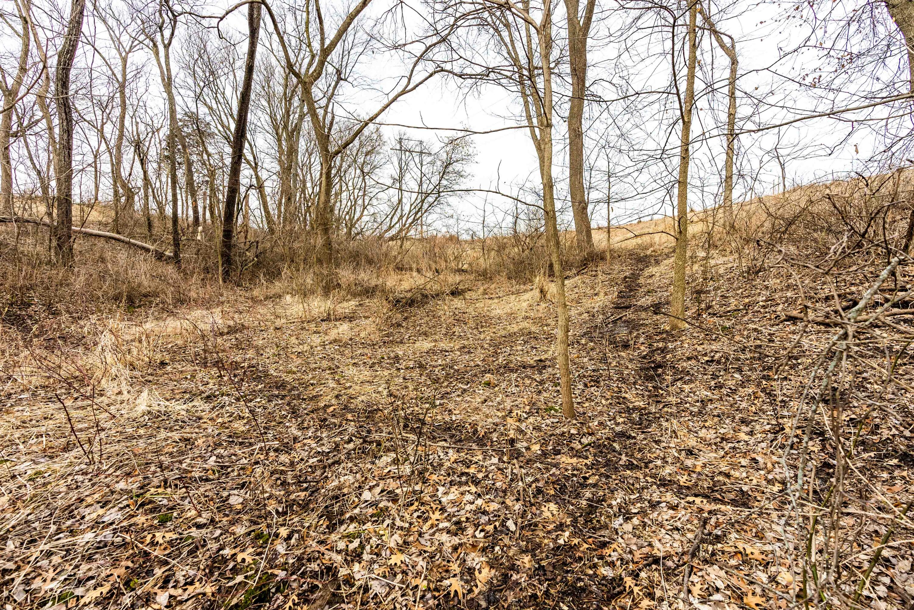 Lt1 St Charles Road Cassville, WI 53806 - Photo 6 of 15 Grant-County-WI-19-Acres-Land-For-Sale-6