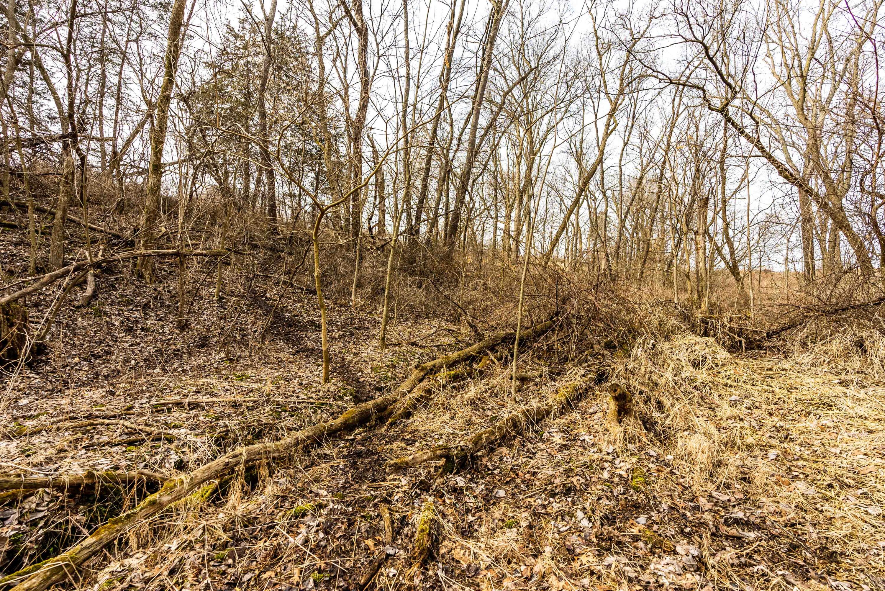 Lt1 St Charles Road Cassville, WI 53806 - Photo 8 of 15 Grant-County-WI-19-Acres-Land-For-Sale-8