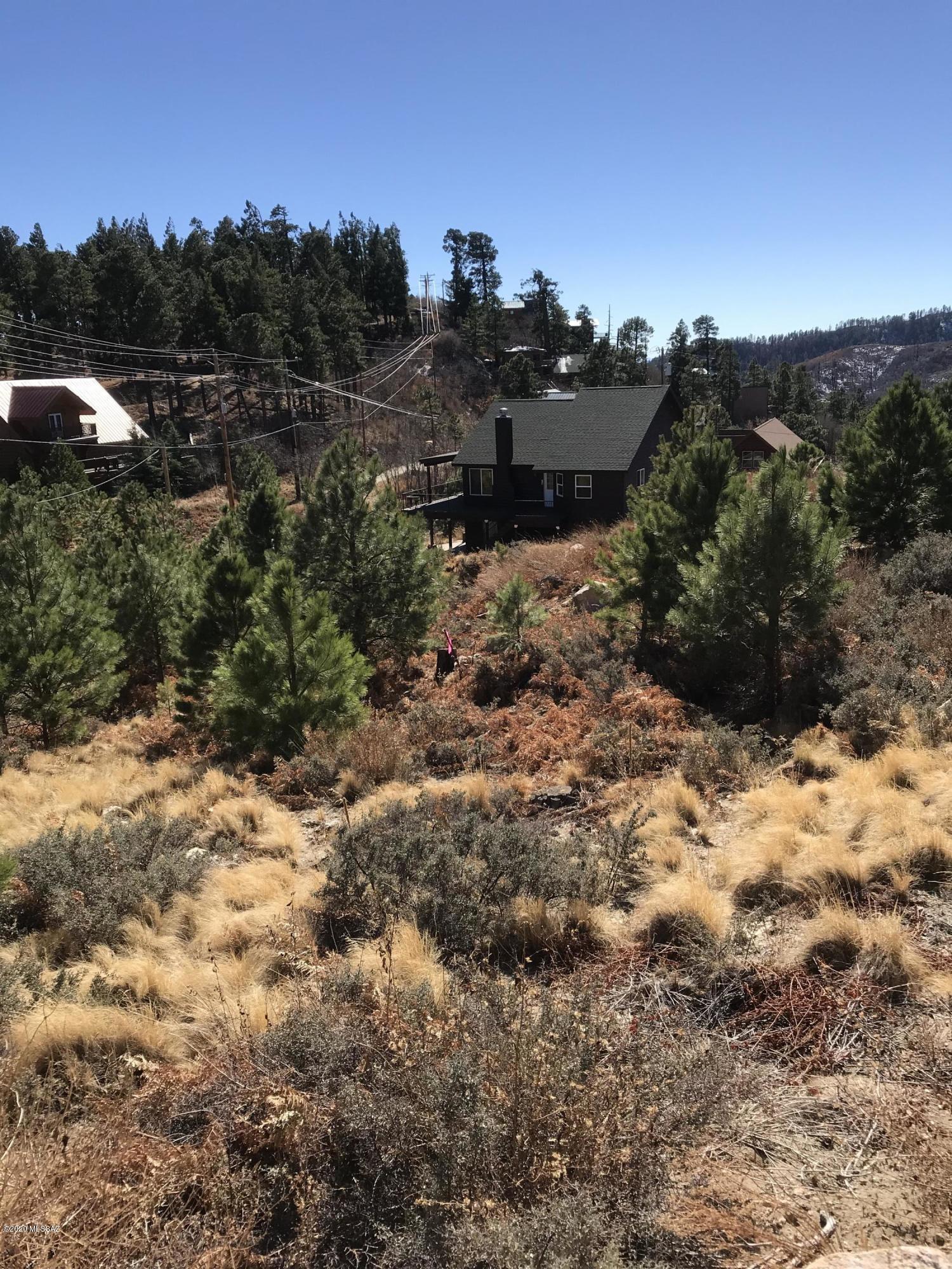 12986 Yuma Road, Unit 4 5 Mount Lemmon, AZ 85619 - Photo 9 of 11