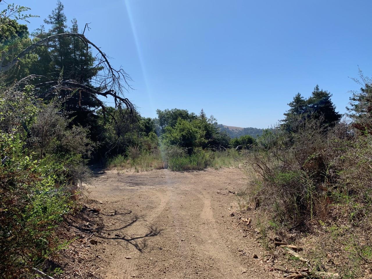 5 Pfeiffer Ridge Road Big Sur, CA 93920 - Photo 2 of 5 Gallery Image 2