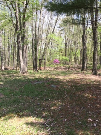 38 Flanders Road Westborough, MA 01581 - Photo 6 of 24 Gallery Image 6