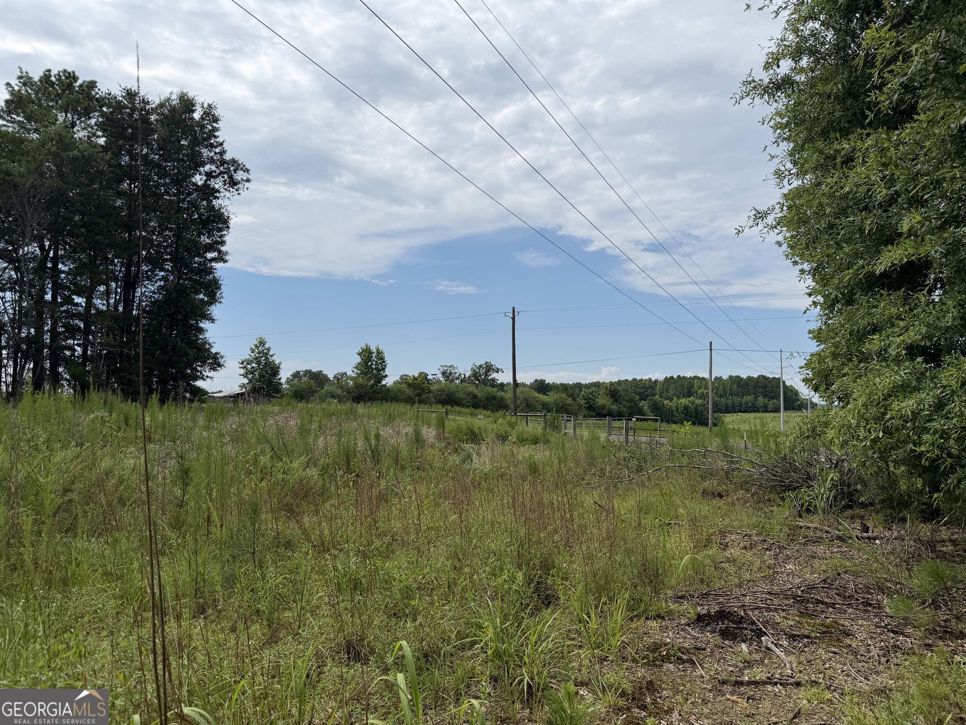 4 County Rd 445 Haleyville, AL 35565 - Photo 3 of 11