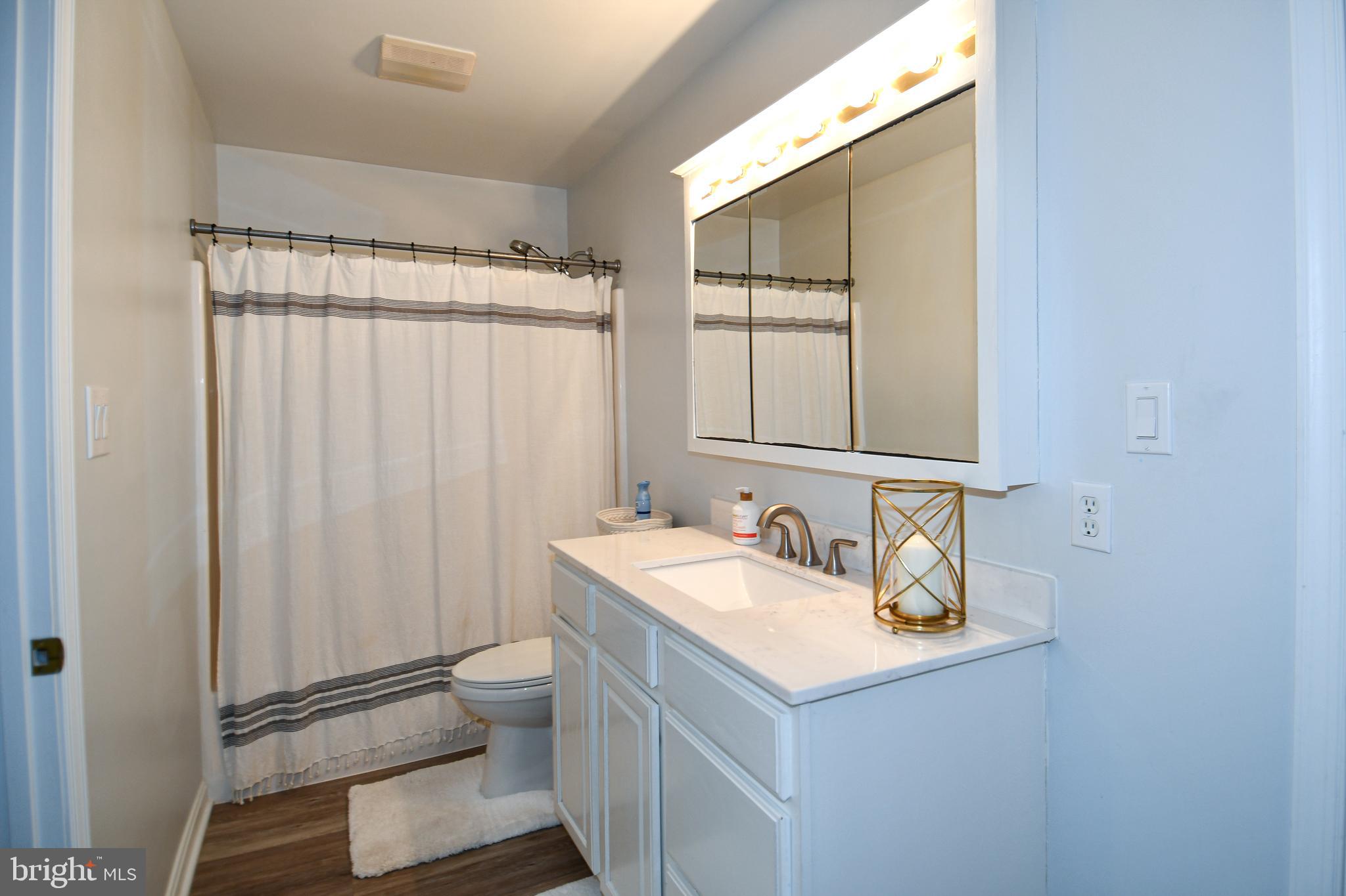 10049 Meleen Drive Faulkner, MD 20632 - Photo 27 of 56 a bathroom with a sink a toilet and shower