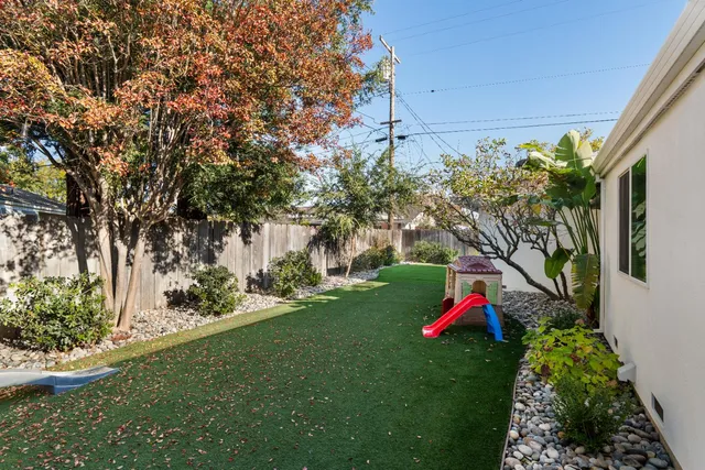 a view of a backyard with plants and a large tree