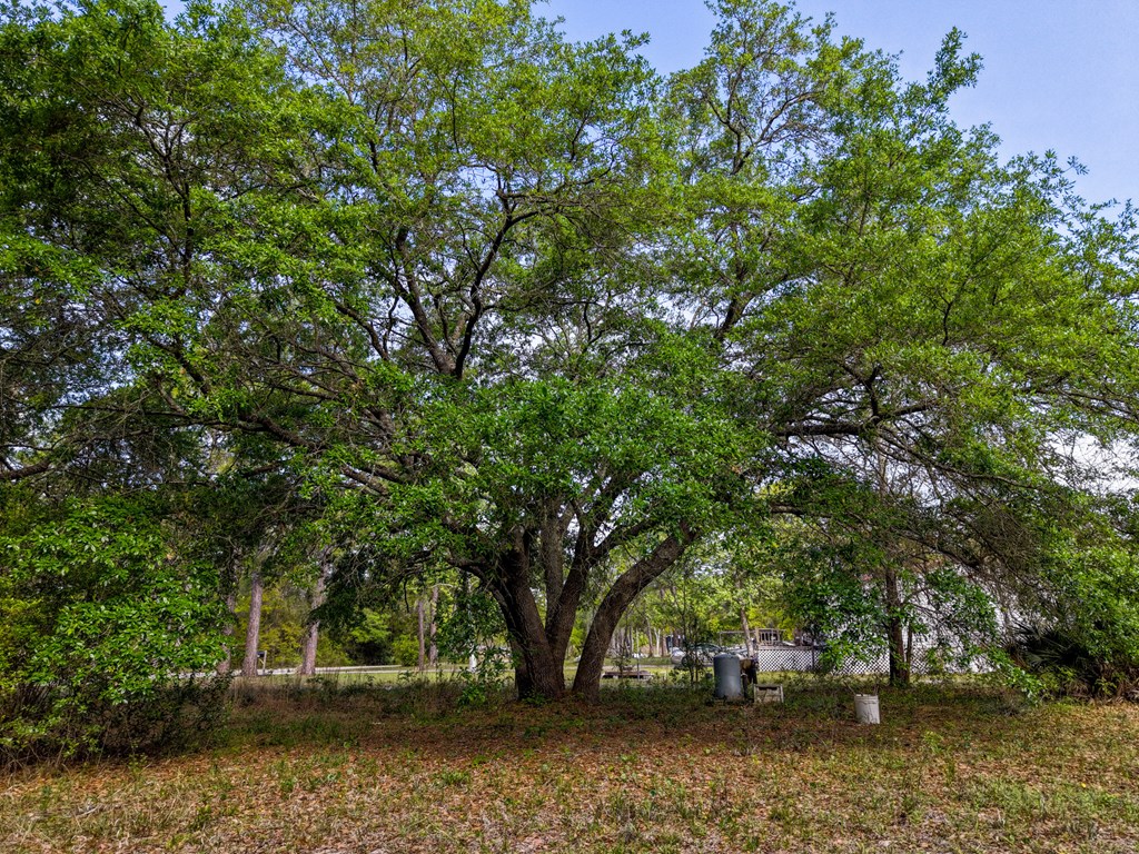 119 Sanborn Road Carrabelle, FL 32322 - Photo 11 of 13