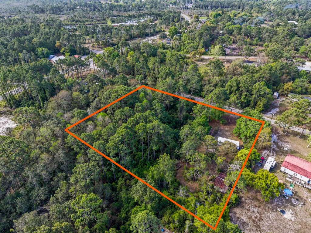 119 Sanborn Road Carrabelle, FL 32322 - Photo 4 of 13