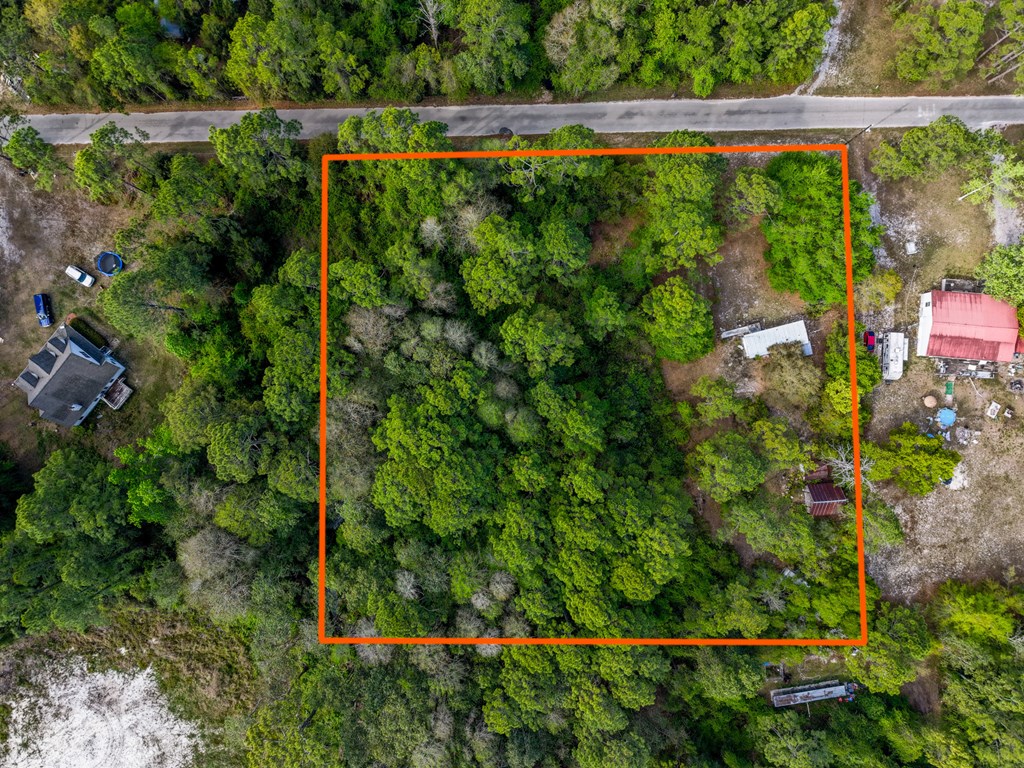 119 Sanborn Road Carrabelle, FL 32322 - Photo 5 of 13
