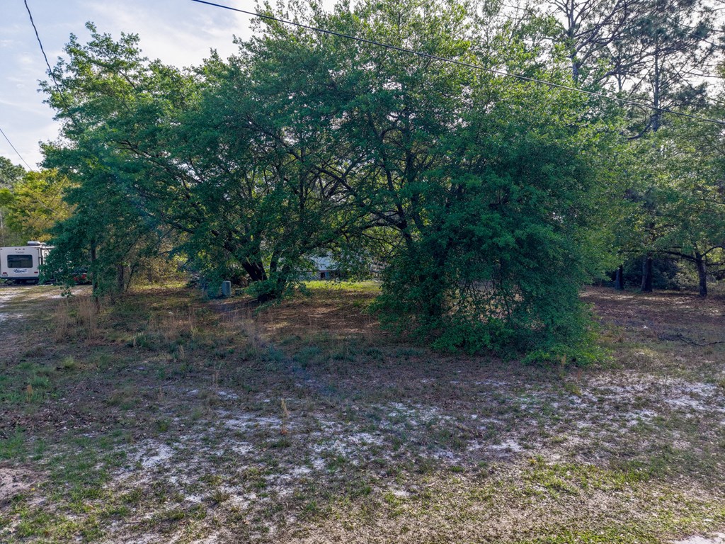 119 Sanborn Road Carrabelle, FL 32322 - Photo 9 of 13