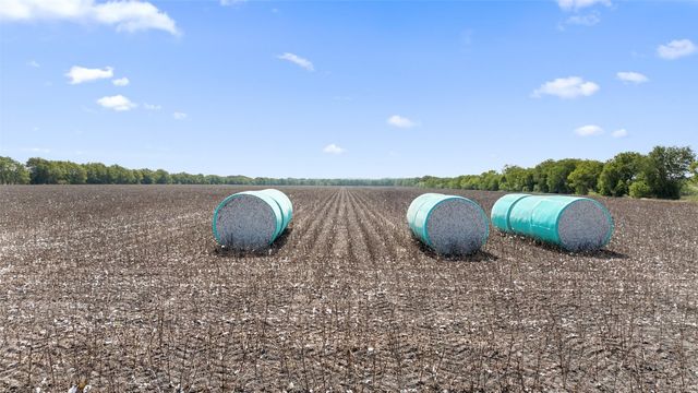 a view of a lush green outdoor space with a sink and a yard